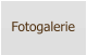 Fotogalerie